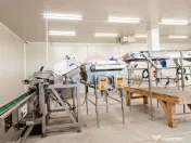 Plantatie de afine la cele mai inalte standarde, de vanzare! 