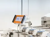 Plantatie de afine la cele mai inalte standarde, de vanzare! 