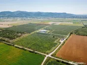Plantatie de afine la cele mai inalte standarde, de vanzare! 