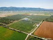 Plantatie de afine la cele mai inalte standarde, de vanzare! 