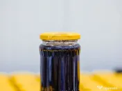 Plantatie de afine la cele mai inalte standarde, de vanzare! 