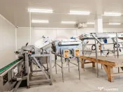 Plantatie de afine la cele mai inalte standarde, de vanzare! 