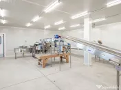 Plantatie de afine la cele mai inalte standarde, de vanzare! 