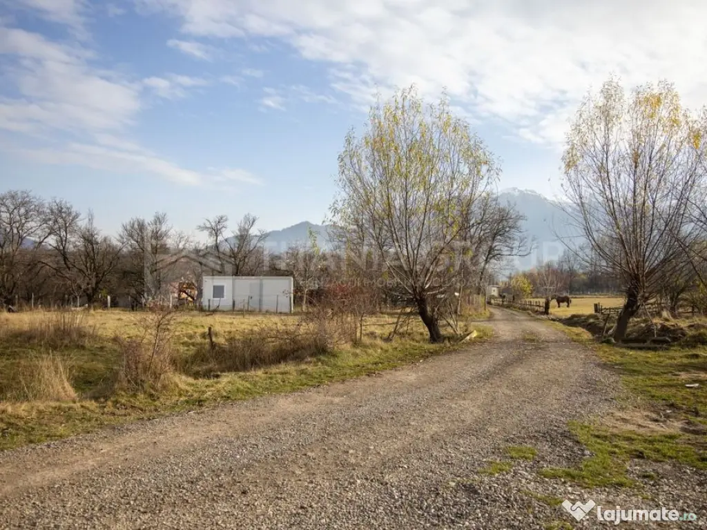 Teren intravilan parcelabil, priveliște spre munți, Soh...
