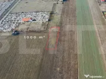 Teren 1000 mp, Oportunitate de Dezvoltare în Vladimirescu