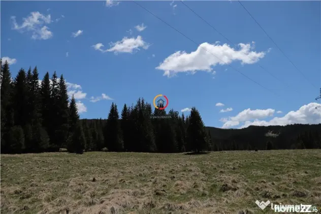 Terenuri speciale Padina Busteni sunt dispuse ca o veritabil