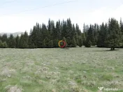 Terenuri speciale Padina Busteni, sunt dispuse ca o veritabi 