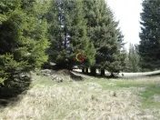 Terenuri speciale Padina Busteni, sunt dispuse ca o veritabi 