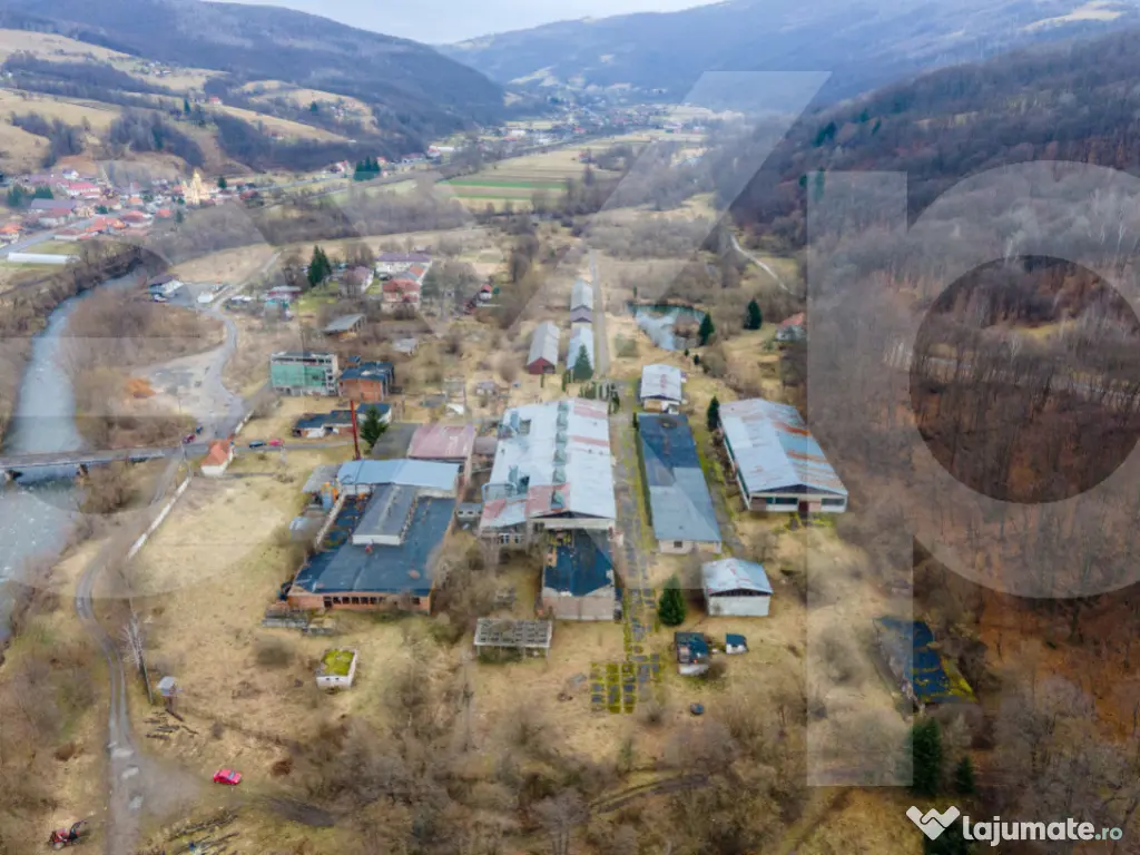 Teren și spații industriale, com. Negreni, sat Bucea, jud.