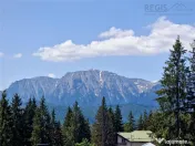 Oportunitate Ivestitie Vila Cioplea Predeal 