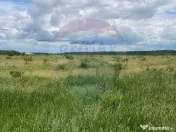 DE VANZARE Teren intravilan 600mp Drumul Piscul Mosului S... 