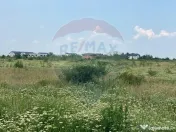 DE VANZARE Teren intravilan 600mp Drumul Piscul Mosului S... 