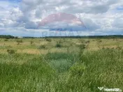 DE VANZARE Teren intravilan 600mp Drumul Piscul Mosului S... 