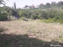 TEREN 985 MP , MIROSLAVA