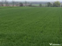 Teren 6000mp, 30 ml deschidere la DN 2H, Horodnic de Jos, Ra