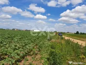Teren intravilan de vanzare Tunari Ilfov 