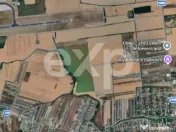 Teren intravilan de vanzare Tunari Ilfov 