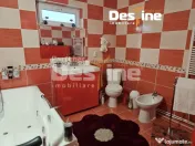 Casa cu etaj si mansarda, 7.200 mp teren, in comuna Probota 