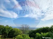 LOCATIE DEOSEBITA - Miron Costin 