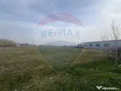 Teren intravilan Buzau / Bulevardul Industriei 