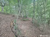 Teren extravilan cu potential turistic - Brezoi 