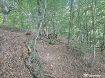 Teren extravilan cu potential turistic - Brezoi