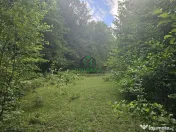 Teren extravilan cu potential turistic - Brezoi 