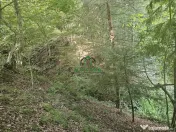 Teren extravilan cu potential turistic - Brezoi 