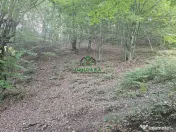 Teren extravilan cu potential turistic - Brezoi 