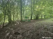 Teren extravilan cu potential turistic - Brezoi 