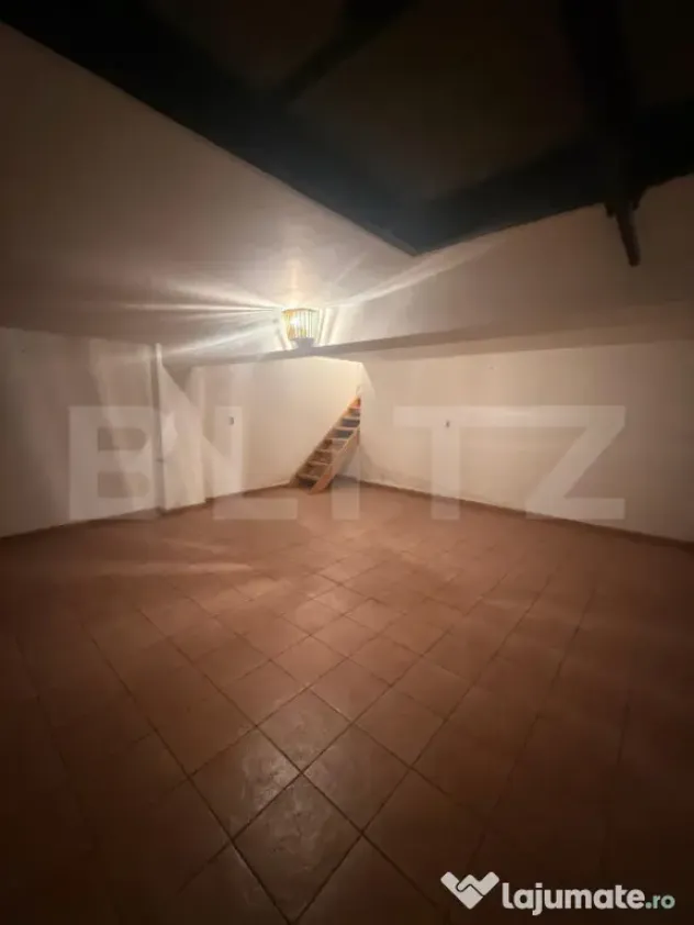 Casa spatioasa de inchiriat, 259 mp, zona Bereasca