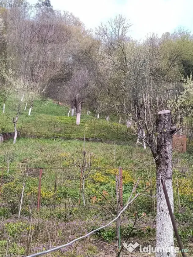 Vand casa la Nadrag zona linistita foarte aproape de centru