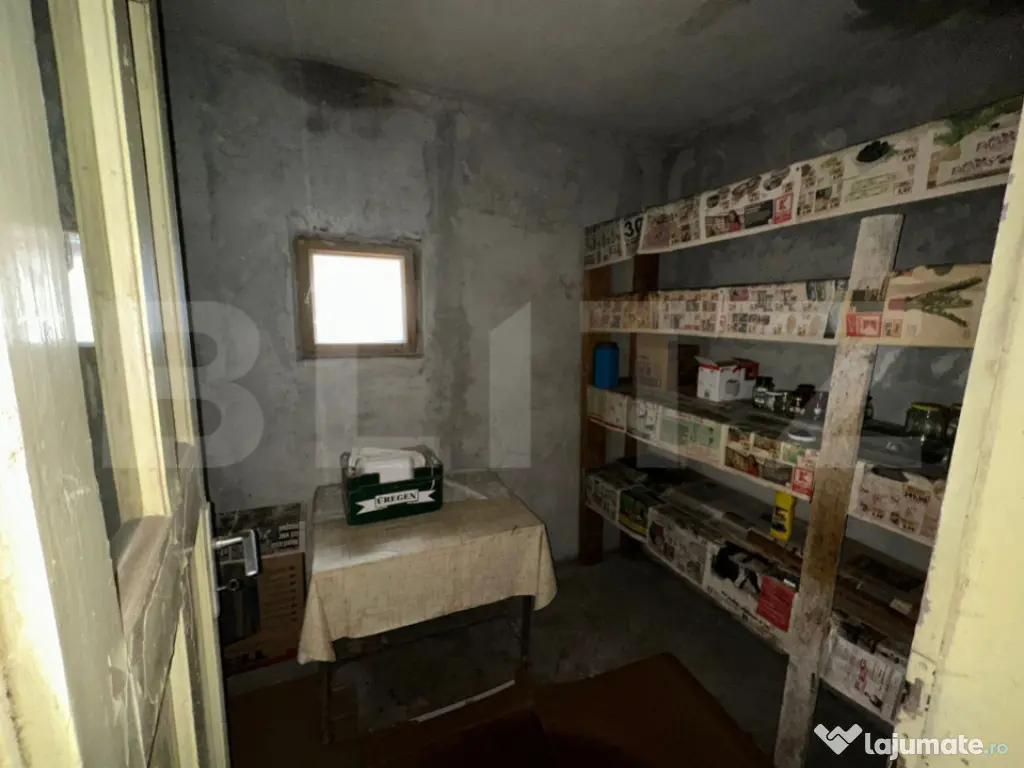 Oportunitate investițională: Casă cu subsol, parter, etaj