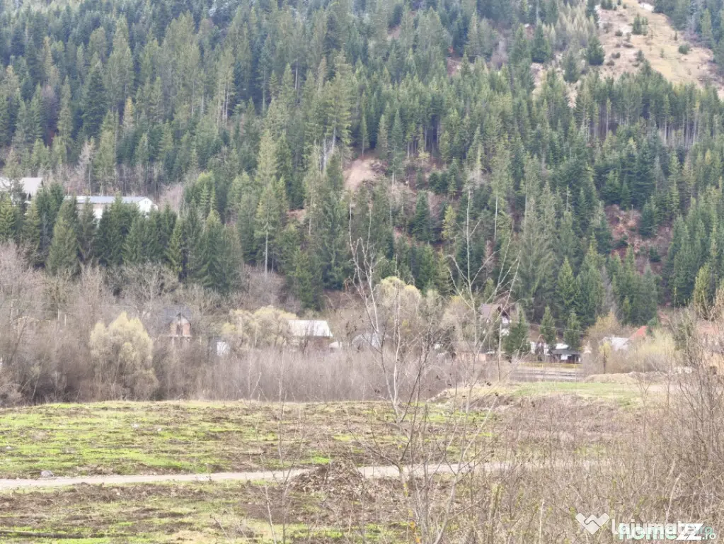 Teren intravilan, 22600mp, zona Manastirea Sucevita - Sucevita (Suceava)