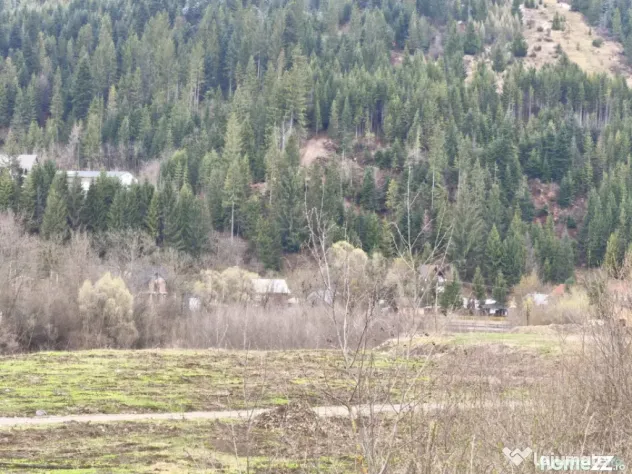 Teren intravilan, 22600mp, zona Manastirea Sucevita - Sucevita (Suceava)
