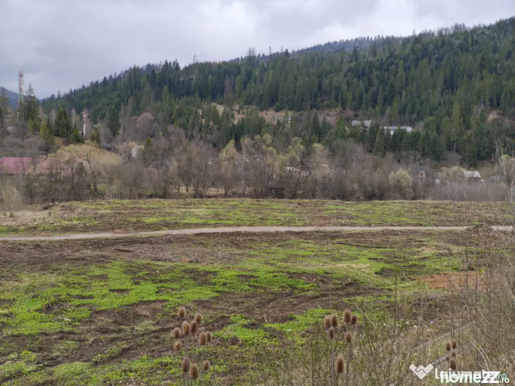 Teren intravilan, 22600mp, zona Manastirea Sucevita - Sucevita (Suceava)