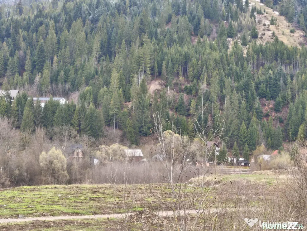 Teren intravilan, 22600mp, zona Manastirea Sucevita - Sucevita (Suceava)