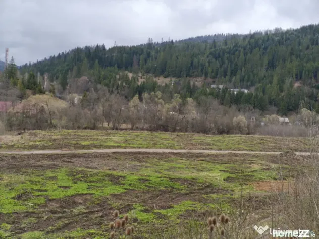 Teren intravilan, 22600mp, zona Manastirea Sucevita - Sucevita (Suceava)