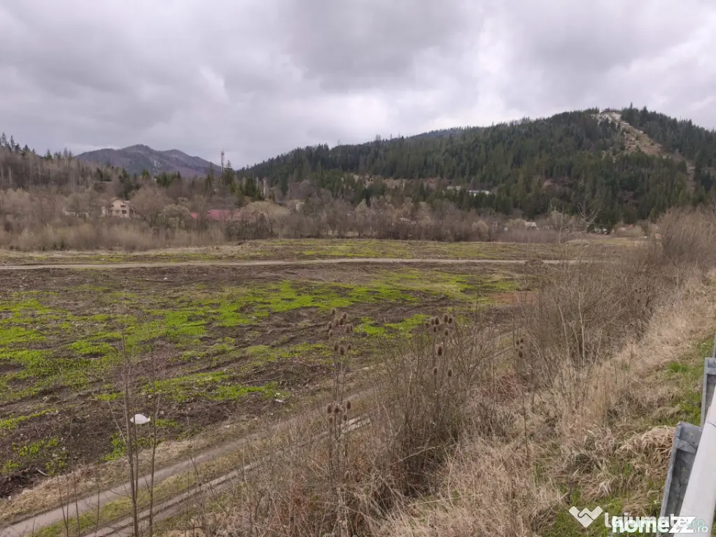 Teren intravilan, 22600mp, zona Manastirea Sucevita - Sucevita (Suceava)