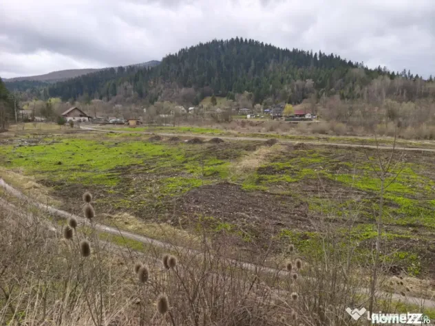 Teren intravilan, 22600mp, zona Manastirea Sucevita - Sucevita (Suceava)