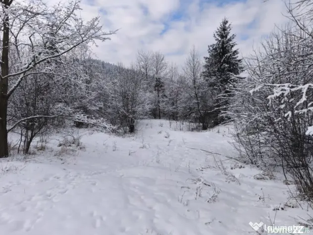 Teren intravilan, 22600mp, zona Manastirea Sucevita - Sucevita (Suceava)