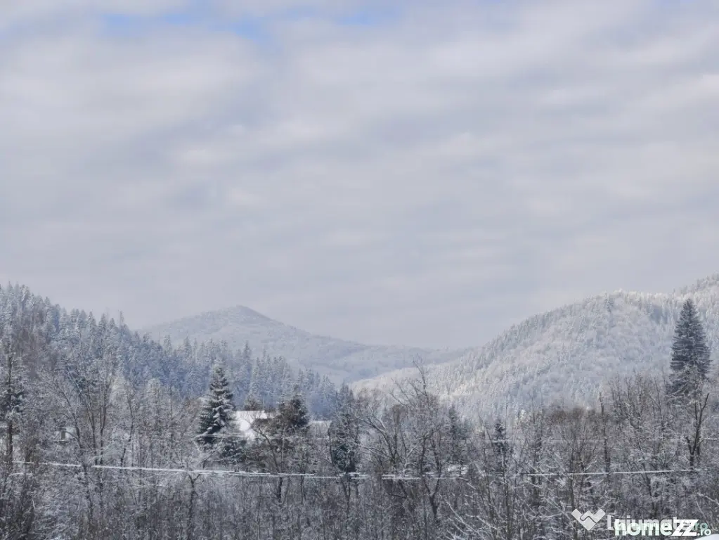 Teren intravilan, 22600mp, zona Manastirea Sucevita - Sucevita (Suceava)
