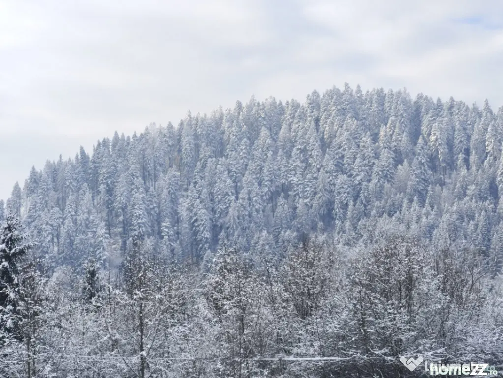 Teren intravilan, 22600mp, zona Manastirea Sucevita - Sucevita (Suceava)