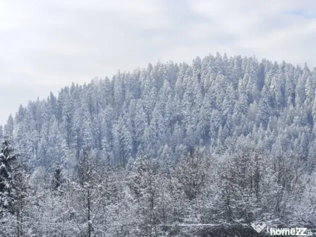 Teren intravilan, 22600mp, zona Manastirea Sucevita - Sucevita (Suceava)