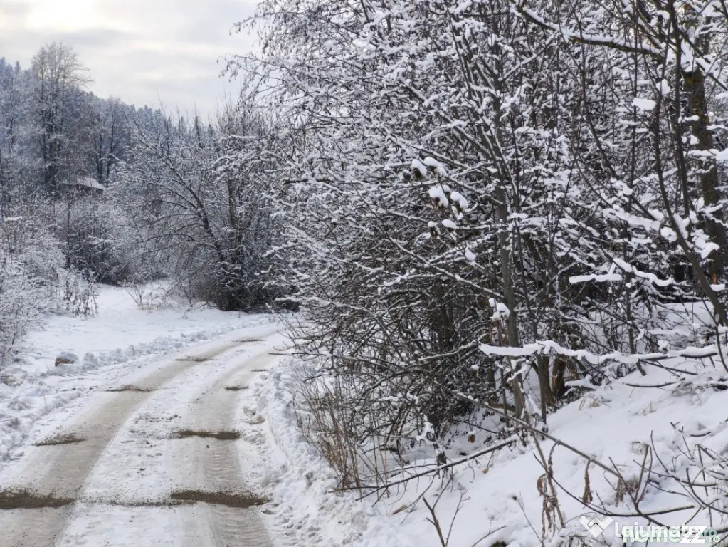 Teren intravilan, 22600mp, zona Manastirea Sucevita - Sucevita (Suceava)