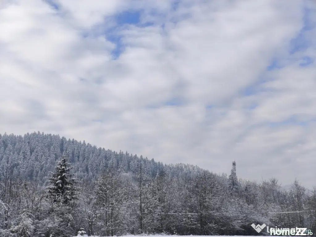 Teren intravilan, 22600mp, zona Manastirea Sucevita - Sucevita (Suceava)