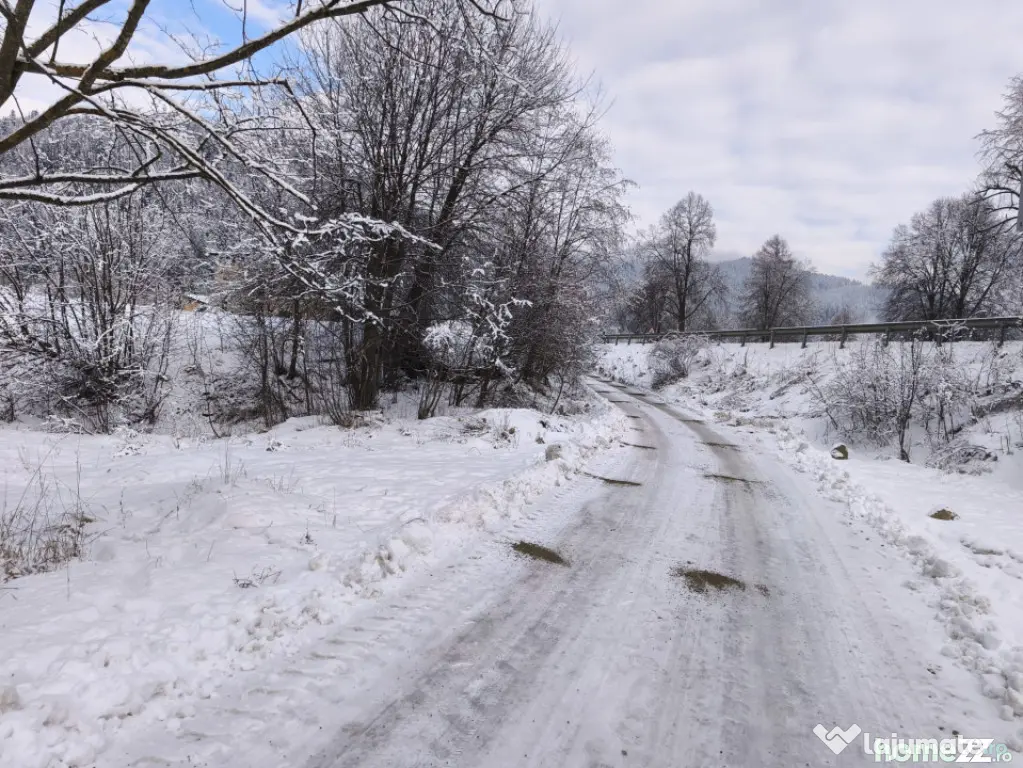 Teren intravilan, 22600mp, zona Manastirea Sucevita - Sucevita (Suceava)