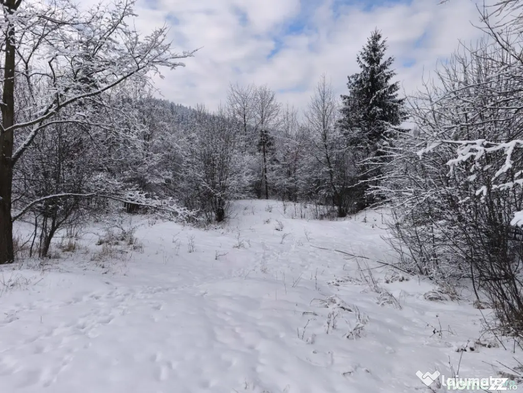 Teren intravilan, 22600mp, zona Manastirea Sucevita - Sucevita (Suceava)