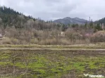 Teren intravilan, 22600mp, zona Manastirea Sucevita
