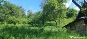Casa gospodarului, bine întreținută, cu teren generos – Comarnic